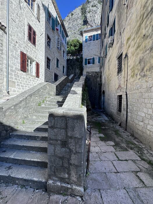 Kotor